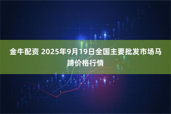 金牛配资 2025年9月19日全国主要批发市场马蹄价格行情