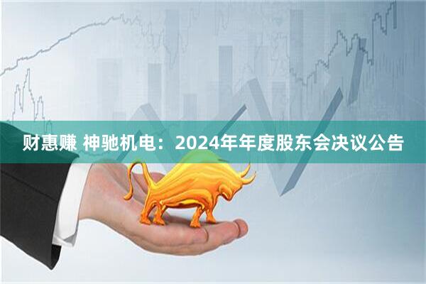 财惠赚 神驰机电：2024年年度股东会决议公告