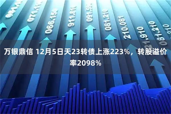 万银鼎信 12月5日天23转债上涨223%，转股溢价率2098%