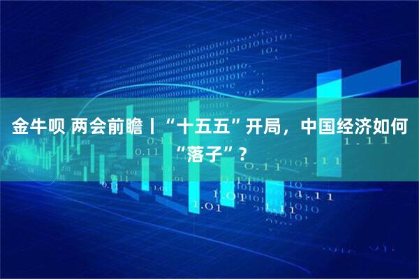 金牛呗 两会前瞻丨“十五五”开局,中国经济如何“落子”?